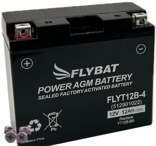 Batterie FlyBat FLYT12B-4 / YT12B-BS AGM geschlossen