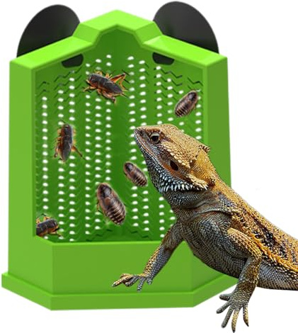 Bol Alimentaire pour Reptiles,Bol Nourriture Crabes Ermites à Ventouse Mangeoire Gecko,Accessoire Mangeoire Escalade pour Élevage Serpients Oiseaux Lézards Caméléons | Pour Lézard Serpent Tortigue Ber