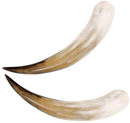 TOGEVAL 2 Jarrones de Cuerno de Vaca Rústicos para Decoración de Pared, Ahorro de Espacio y Estilo Vintage para Interiores de Casa Occidental