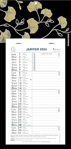 Exacompta - 33143E - Calendrier mensuel avec feuillets mensuels détachables 15,5 x 28,5 cm - Sur support plaque imprimée Ginkgo 19 x 41 cm - 2025 - Coloris assortis