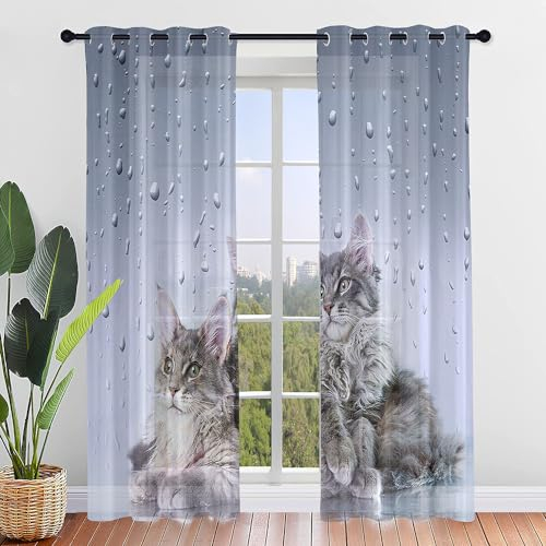 ENEN Vorhänge Wohnzimmer, Gardinen mit Ösen Halbtransparent Gardinen Wohnzimmer 3D Kätzchen Schlaufenschal 2er Set für Kleine Fenster Küche Wohnzimmer Landhaus (107x160cm,G)