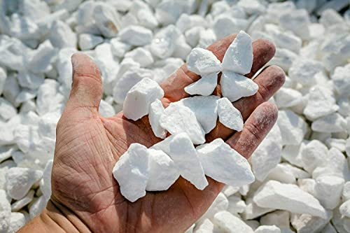 Generisch Thasos White Gravier décoratif en marbre blanc 8-16 mm Gravier décoratif pour le jardin 20 kg