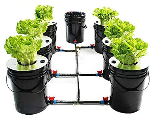 awolsrgiop Hydroponic System, 5 Gallon Hydrokultur DWC Grow System Kit, 20L x 7 Bucket Indoor Hydroponic Anzucht-System Multi Barrel Hydroponic Machine Drip Irrigation System