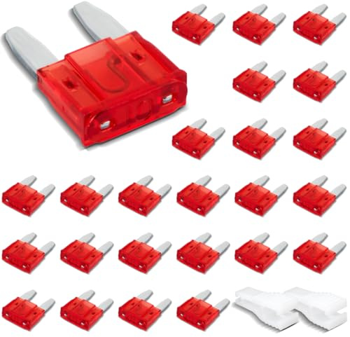 Innfeeltech 25 Piezas Fusible Mini, Fusible Plano 10A con 2 Clips de Plástico para Coche, Camión y Moto