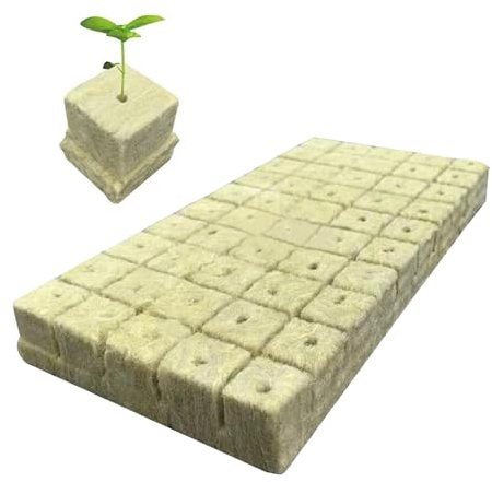 Omnikryp 50 Pezzi Lana di Roccia, Roccia Cubi, Blocchi Idroponici Rockwools Cubi permeabilità Ecologica per Verdure Coltivazione Talee Trapianto di Cultura Soilless Propagazione di Piante Clonazione