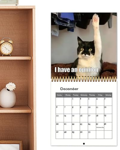 Katzen Kalender 2026 | 2026 Wandkalender | Urlaubsplaner Büro Freunde Erwachsene Kinder Weihnachten Halloween Neujahr
