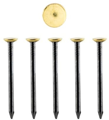 S&S-Shop 30 Bildernägel | Größe 40mm | aus gehärtetem Stahl | Bildaufhängung | Künstlerzubehör | Fußleistennagel | Bildmontage | Wandbilder | Leinwandnägel | Bildernagel