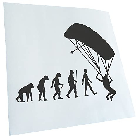 Kiwistar - Autocollant - Evolution en forme de parapluie - gris foncé - G50 - Pour voitures, vélos, véhicules, motos, cyclomoteurs, tuning, vitres arrière