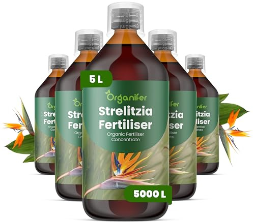 Fertilizzante Liquido Per Strelitzia - 5x1L - NPK 2-1-8 | Concime Per Fioritura Esotica E Fogliame Sano - Rafforza Radici E Vitalità - Organifer
