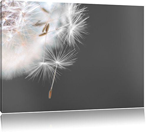 Pixxprint hübsche Pusteblume B&W, Größe: 100x70cm, Leinwandbild, fertig gespannt, Wandbild, Dekoration, Kunstdruck, kein Poster