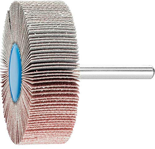 10 x PFERD Fächerschleifer F 6020/6 A 120| Art.: 44508126