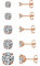 AllerPierce Rose Gold Stud Earrings for Women Cubic Zirconia Stud Earrings Set for Men Girls Hypoallergenic Small Sleeper Cartilage Studs Sensitive Ears Piercing Jewellery 3mm-8mm (5 Pairs)