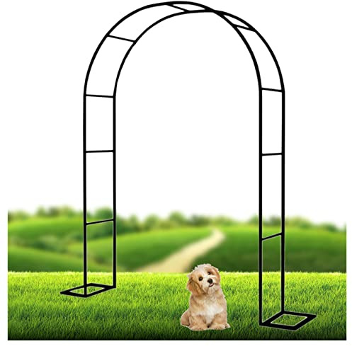 Arche de jardin en métal pour plantes grimpantes, support de treillis de rose, tonnelle de fleurs d'extérieur disponible en 120 x 230 cm, 180 x 220 cm, 240 x 220 cm – Finition noire (l x H) : 300 x