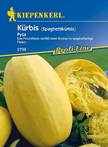 Kiepenkerl 2709 Kürbis Pyza (Kürbissamen)