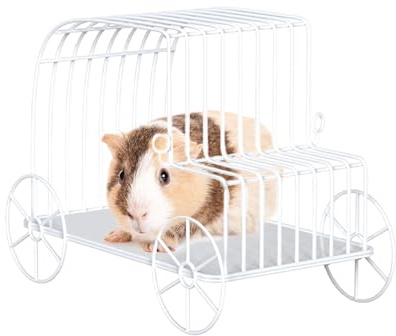 Générique Amaca per cincillà,Giocattoli per criceto nano ferro - Casa Nido Amaca nascondiglio Formazione Forniture per roditori Conigli Nani