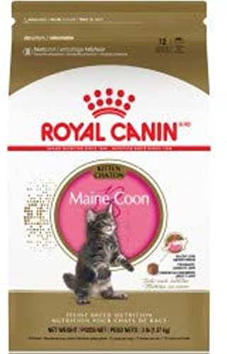 Royal Canin Kitten Maine Coon, 1er Pack (1 x 2 kg)