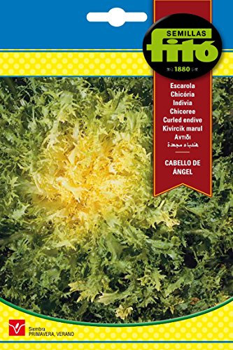 Semillas Fitó 109 - Semillas de Escarola Cabello de Ángel