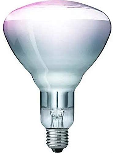 Lampada infrarossi Philips 250 Watt trasparente
