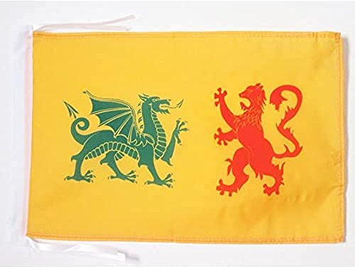 AZ FLAG Bandera de la DINASTÍA Real SUEVA Reino DE GALLAECIA 410-585 45x30cm - BANDERINA ESTANDARTE Real 30 x 45 cm cordeles | Uso interior y exterior Enseña del estandarte de la dinastia real sueva costuras dobles y bordes reforzados con cuerdas
