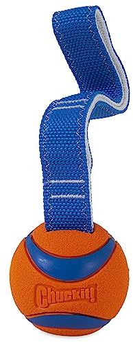 Chuckit! CH231201 Ultra Tug Medium