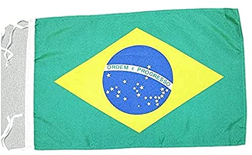AZ FLAG - Drapeau Brésil - 45x30 cm - Pavillon Brésilien 100% Polyester Avec Deux Cordelettes - 20g