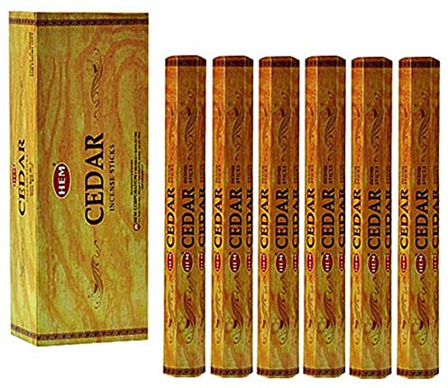 Hem Lot de 100 bâtons d'encens Cèdre (5 x 20 paquets)
