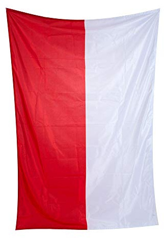 Fahnen Kössinger, Bannerfahne mit Hohlsaum, ohne Querstab, Fahne Bundesland Salzburg, Bannerfahne ohne Wappen, hochwertiger Siebdruck, Brillante Farben, rot-weiß, 80 x 200 cm, 1,6 m² Fläche