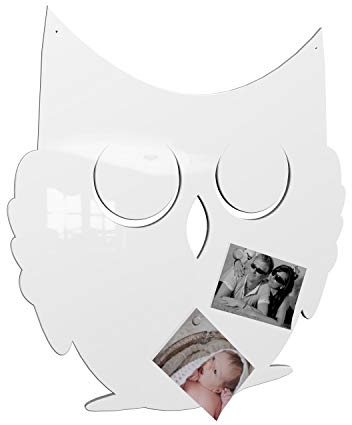 Colours-Manufaktur Eule Magnetwand - viele XXL groß Hochglanz (RAL 9003 signalweiß glänzend [wie weiß])