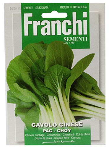 Franchi Pac Choy Joy Choi
