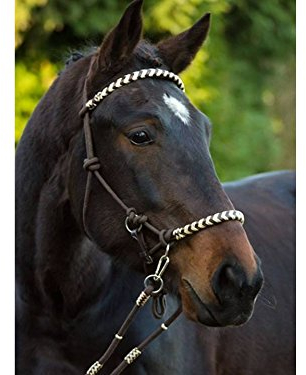 Barefoot Seneca Knoten-Kopfstück 3-in-1 – Knotenhalfter & Reithalfter für Bodenarbeit, gebissloses Reiten oder mit Gebiss – mit Rohhaut & Horse-Hair-Tassel – Größe 1 Vollblut