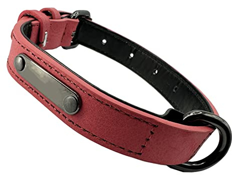 Hundehalsband Verstellbare, schlicht, robust, witterungsbeständig für Welpen Kleine Mittel Große Hunde Klassisches Halsband Hund (S: 2CM Breit für 32CM - 40CM Hals, Rot-neu)