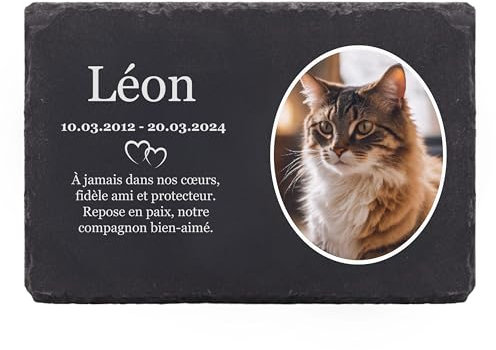 LAUBLUST Pierre commémorative personnalisée avec nom et Photo comme Plaque tombale pour Chien, Chat & Autres Animaux de Compagnie - Coeurs, 3 Tailles | Plaque en Ardoise gravée comme Pierre tombale