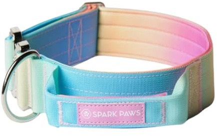 Spark Paws Taktisches Hundehalsband – Robuste, Premium-Qualität, Dick und Langlebig für Große und Mittelgroße Hunde - S: 16-25kg [3.8cm]