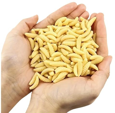 AMZfishing® NEU Messeneuheit 2025 100x lebensechte künstliche Maden | Maden Imitate | Maden Gummi | Gummimaden | Madenimitate | Wurm Köder | Wurm Maden Kunstmaden (100)