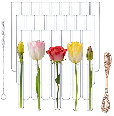 Ksnowqi 30 Stück Reagenzgläser für Blumen aus Glas, 20mm OD x 150mm Länge, Transparente Reagenzglas Vase mit Reinigungsbürste und Seil für Liquids, Spices