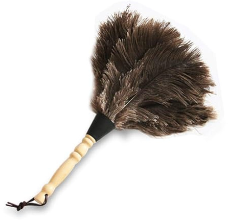 Plumeau en Plumes d'autruche avec Manche en Bois, 30 cm