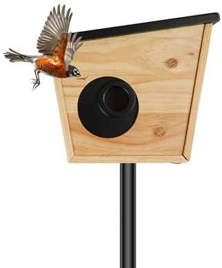 Smart Holz Vogelhaus mit Kamera Solar, IP65 Wetterfest 270° Tür, 4400mAh Akku Infrarot Nachtsicht, Kiefernholz Vogelkasten für Balkon Garten Bauernhof