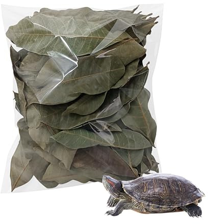 Reptiles de hojas – lecho natural para hábitats secos, suministro de sustrato de terrario orgánico | Material de la carcasa de tortugas serpientes lagartos para ocultar Neste