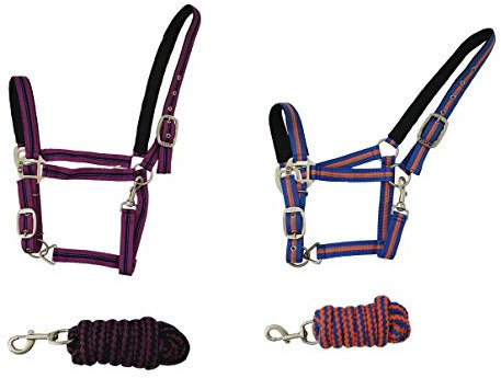 NETPROSHOP 2-Fach Verstellbares Halfter im Set mit Passendem Führstrick ca. 1,90m Pony Cob Full, Groesse:Full, Farbe:Hellblau