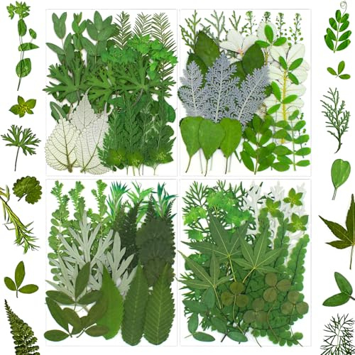 SUAUKEY 100 Pcs Dried Pressed Flowers Leaves for Resin Molds, Real Natural Bulk Dry Wildflowers Perfect for Epoxy, DIY Crafts, Soap Candles Jewelry Making, and Home Decor