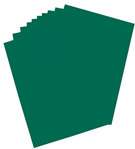 folia 65432 - Plakatkarton, ca. 48 x 68 cm, 10 Bögen, 380 g/qm, einseitig dunkelgrün gefärbt - ideal zum Basteln oder Erstellen von Plakaten und Anzeigen