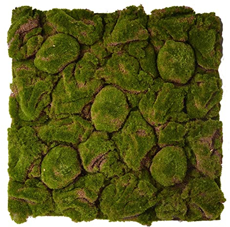 REPITERRA Terrarium Rückwände unterschiedliche Design Moos klein