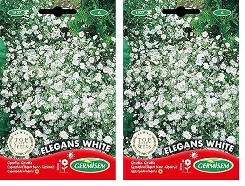 Germisem Elegans White Semillas de Gypsophila 1.5 g (EC1527) (Paquete de 2)