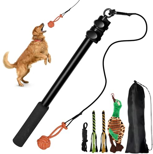 Reizangel Hunde, Profi Reizangel für Kleine Hunde Große Hund Längenverstellbare mit Ersatzseil, Anti Stress Ente Quietschendes, Aktives Hundespielzeug Unkaputtbar, Wurfspielzeug Hund Kauspielzeug