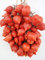 SEMI POMODORO SPUNZILLO VESUVIANO--PIENNOLO---