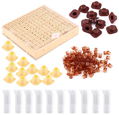 110 Zellbecher, 12 Zellriegelblöcke, 10 Käfige, Bienenaufzuchtset mit Box Zur Aufzucht von Königinnen, die Eier Legen. Nicht aus Kunststoff. Einfache Verwendung Am des
