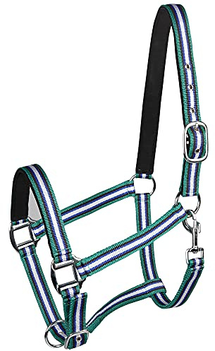 PFIFF 101517 Kunststoffhalfter, Weidehalfter Stallhalfter, Blau-Weiß-Grün, Pony