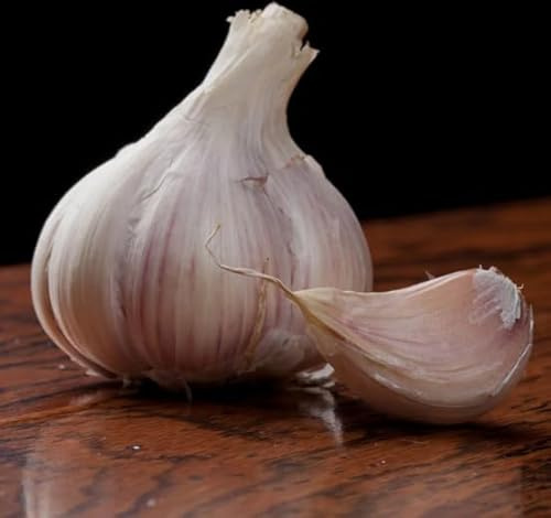 Music Garlic Hardneck Garlic-3Tubers