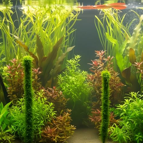 WASSERPFLANZEN WOLFF - Moos-Säule 30 cm - Green Moss Stick mit Javamoos/Bambostick Taxiphyllum barbieri | Bambus-Stab voll bewachsen | Vertikale Gestaltung & Garnelen-Weidefläche