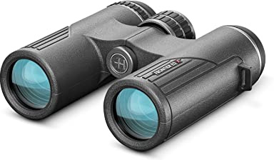 Frontier ED X Fernglas 10x42 grau